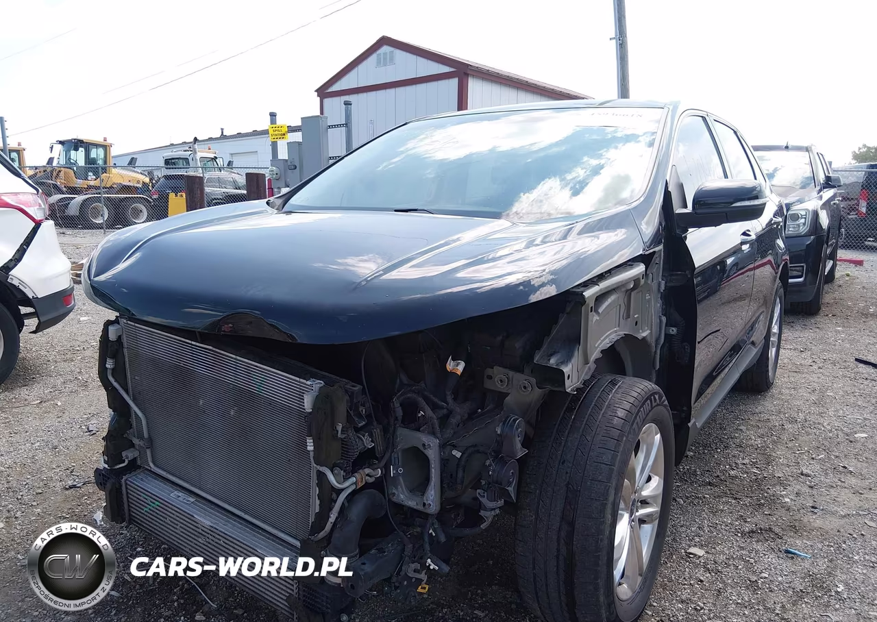 2016 Ford Edge Sel VIN:2FMPK4J93GBB10686 - 6