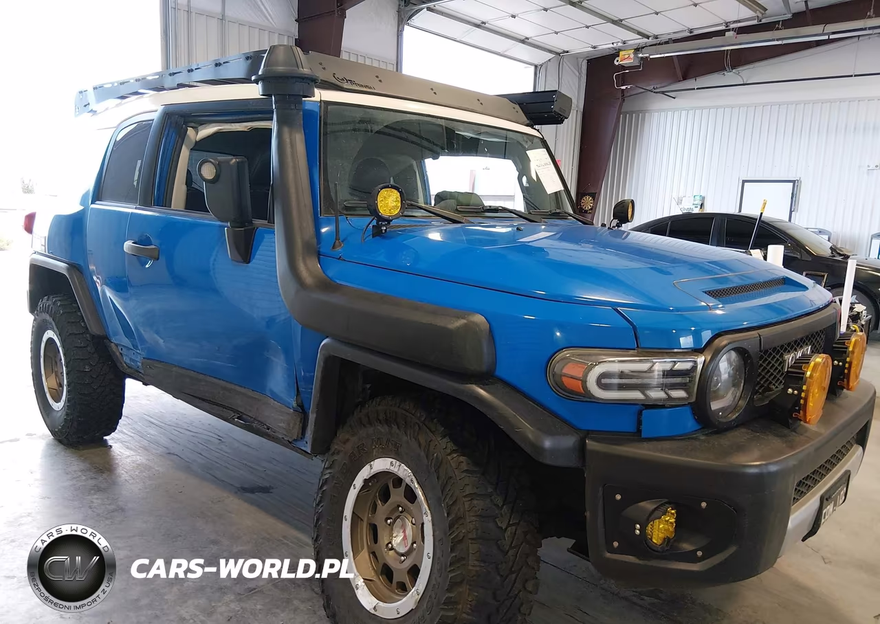 2009 Toyota Fj Cruiser VIN:JTEBU11F59K062321 - 6