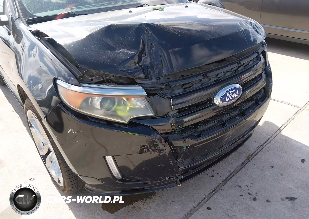 2014 Ford Edge Sport VIN:2FMDK3AKXEBB12318 - 6
