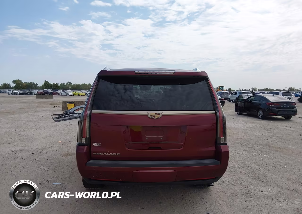 2016 Cadillac Escalade Premium Collection VIN:1GYS3CKJXGR256234 - 16