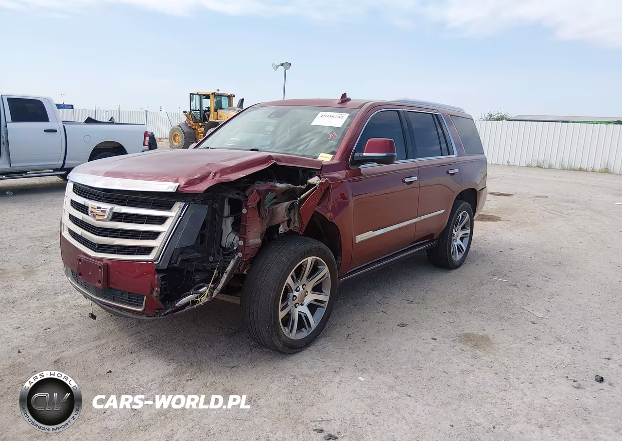 2016 Cadillac Escalade Premium Collection VIN:1GYS3CKJXGR256234 - 2