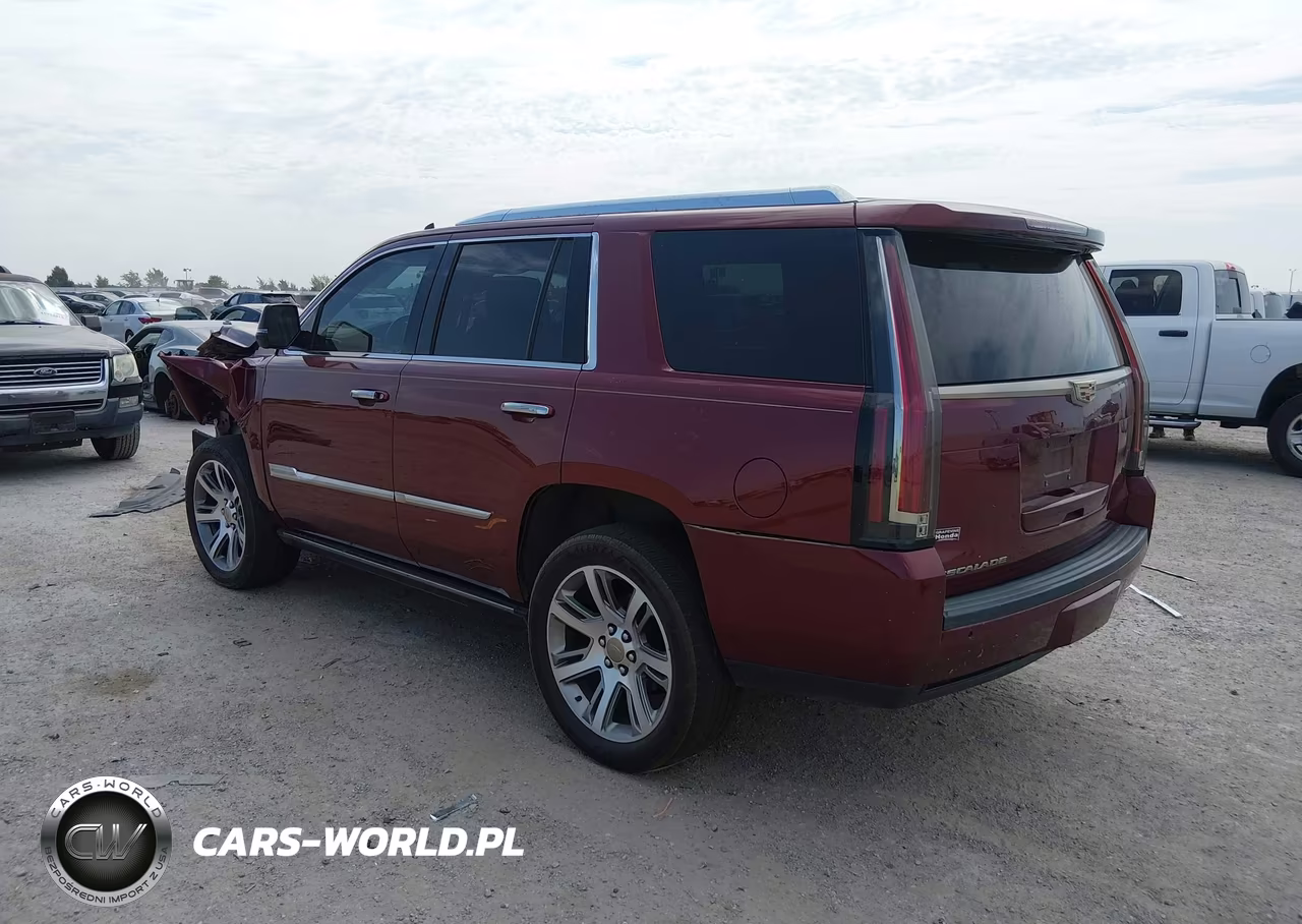 2016 Cadillac Escalade Premium Collection VIN:1GYS3CKJXGR256234 - 3
