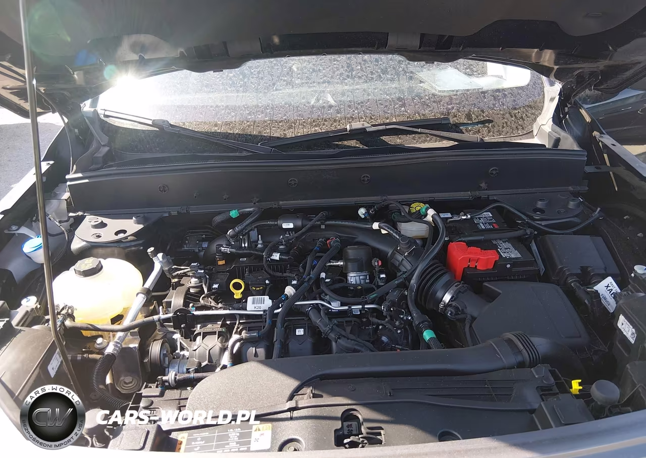 2024 Ford Bronco Sport Badlands VIN:3FMCR9D98RRF51169 - 10