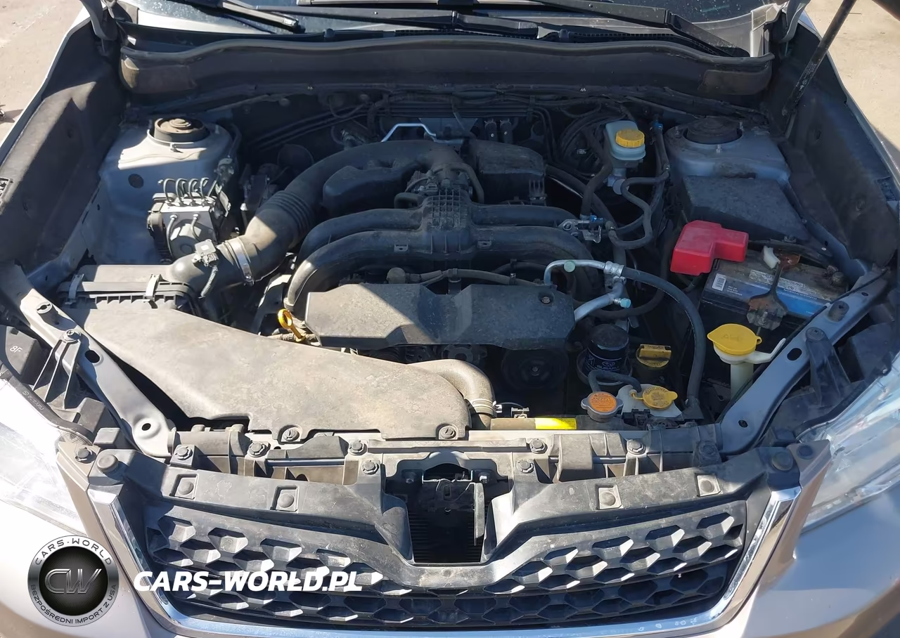 2016 Subaru Forester 2.5I Premium VIN:JF2SJADC8GH428170 - 10