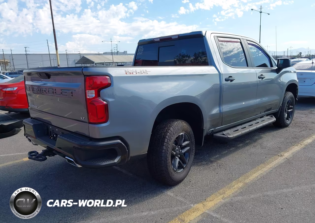 2020 Chevrolet Silverado 1500 4Wd Short Bed Lt Trail Boss VIN:3GCPYFED4LG290247 - 4
