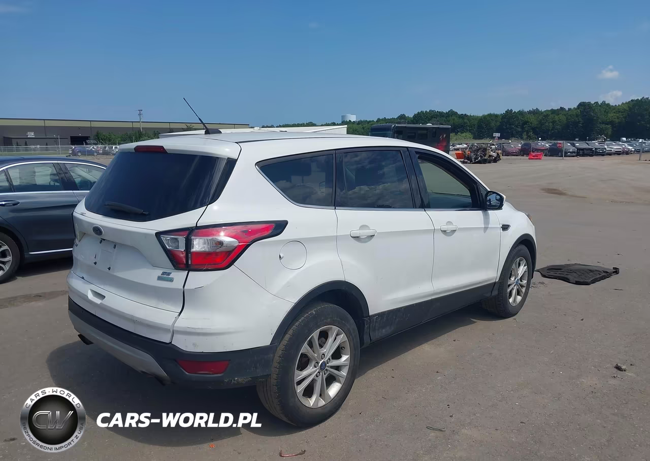 2017 Ford Escape Se VIN:1FMCU0GD2HUD50207 - 4
