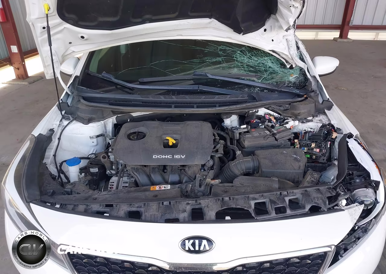 2018 Kia Forte Lx VIN:3KPFK4A7XJE211948 - 10