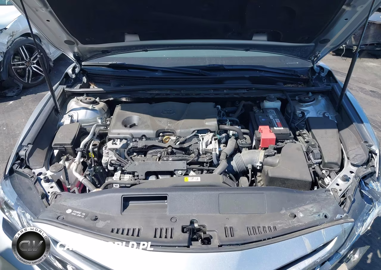 2019 Toyota Camry Xse VIN:4T1B61HK9KU699395 - 10
