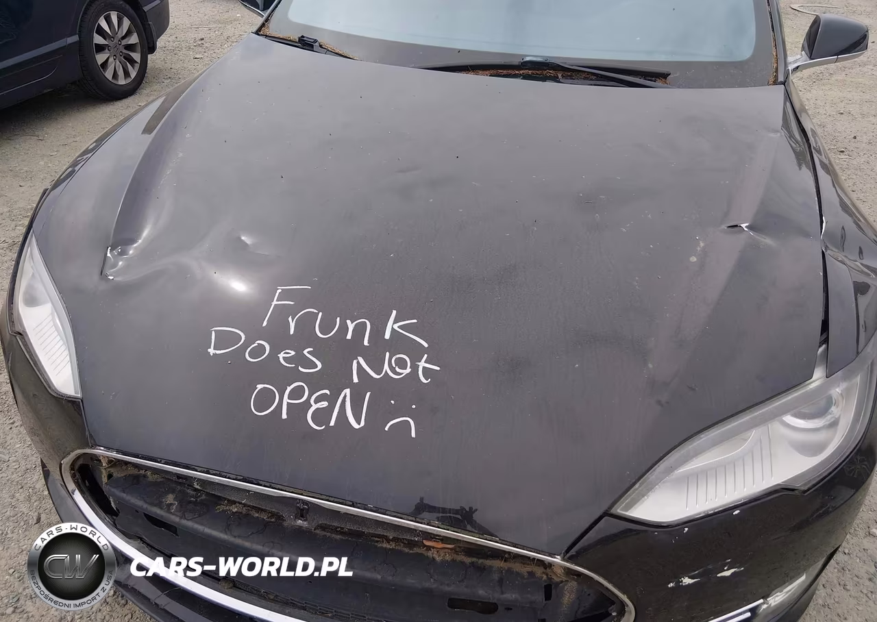 2013 Tesla Model S Performance VIN:5YJSA1DP3DFP08639 - 10