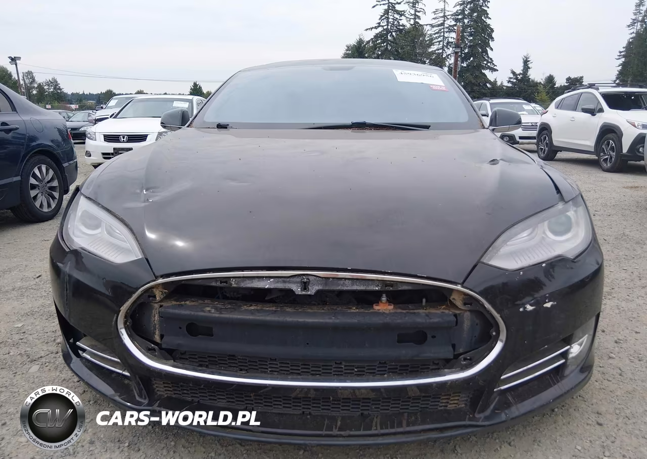 2013 Tesla Model S Performance VIN:5YJSA1DP3DFP08639 - 12