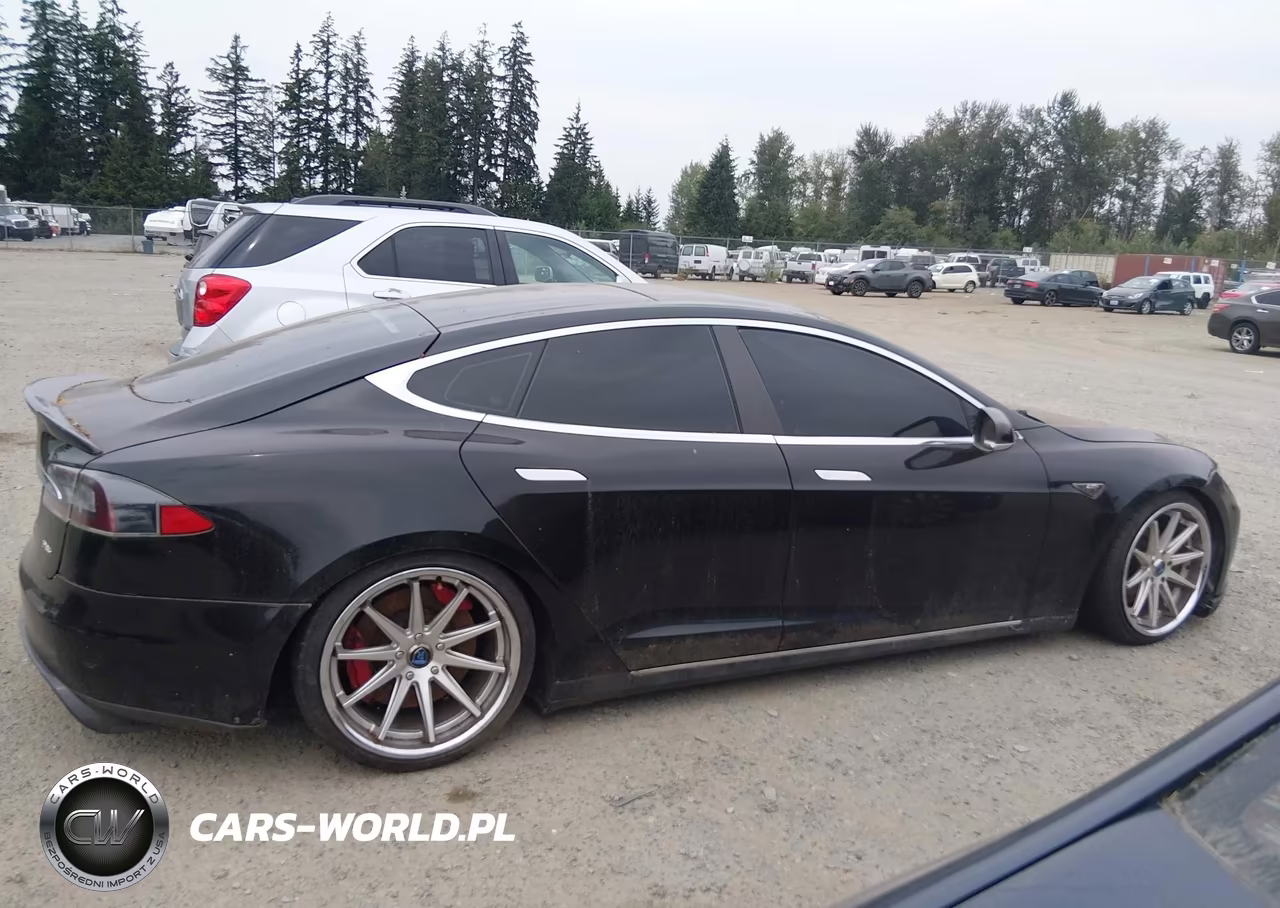 2013 Tesla Model S Performance VIN:5YJSA1DP3DFP08639 - 13