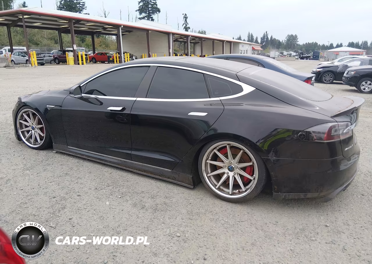 2013 Tesla Model S Performance VIN:5YJSA1DP3DFP08639 - 14