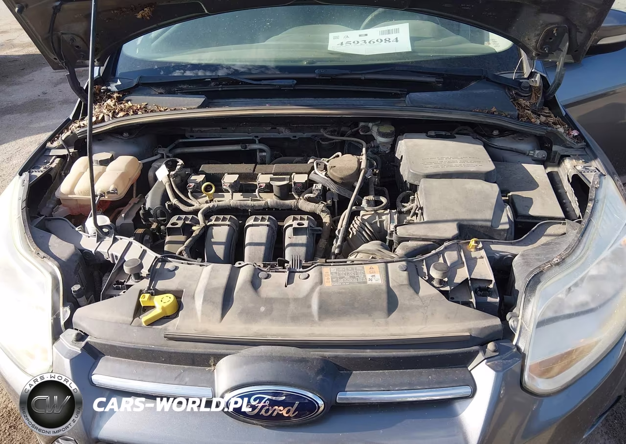 2014 Ford Focus Se VIN:1FADP3F29EL302809 - 10