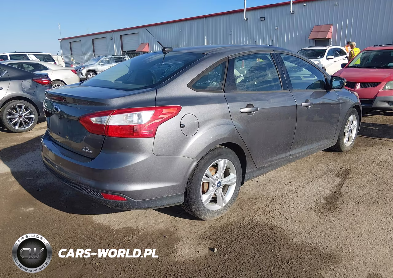 2014 Ford Focus Se VIN:1FADP3F29EL302809 - 4