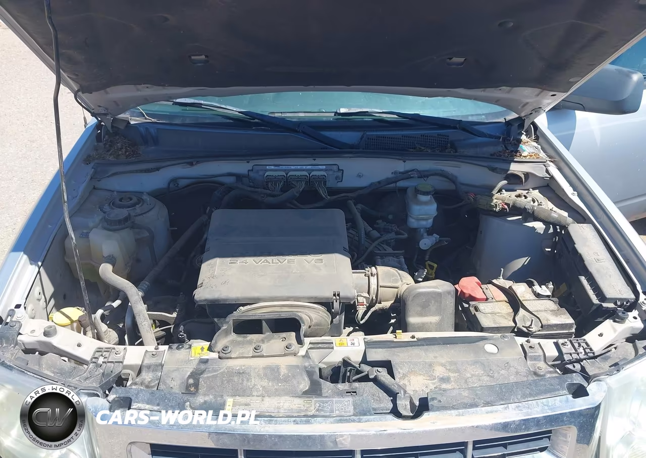 2011 Ford Escape Xlt VIN:1FMCU0DGXBKB53738 - 10