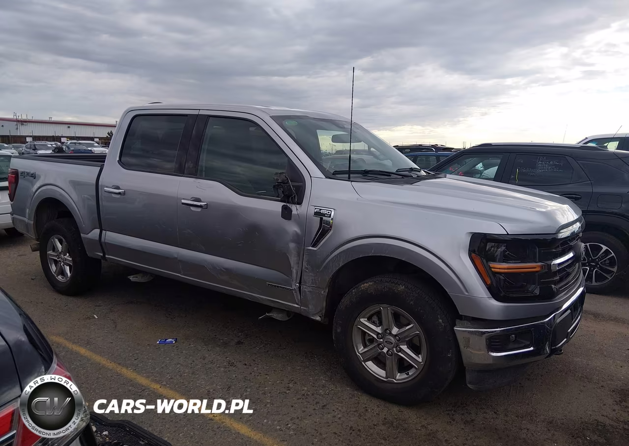 2024 Ford F-150 Xlt VIN:1FTFW3LD3RFA81563 - 13