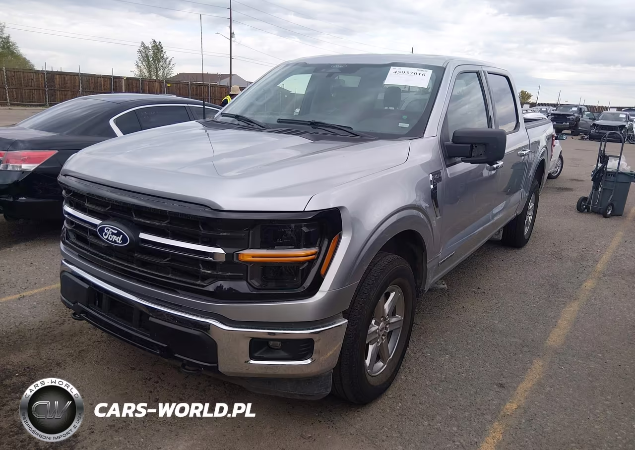 2024 Ford F-150 Xlt VIN:1FTFW3LD3RFA81563 - 2