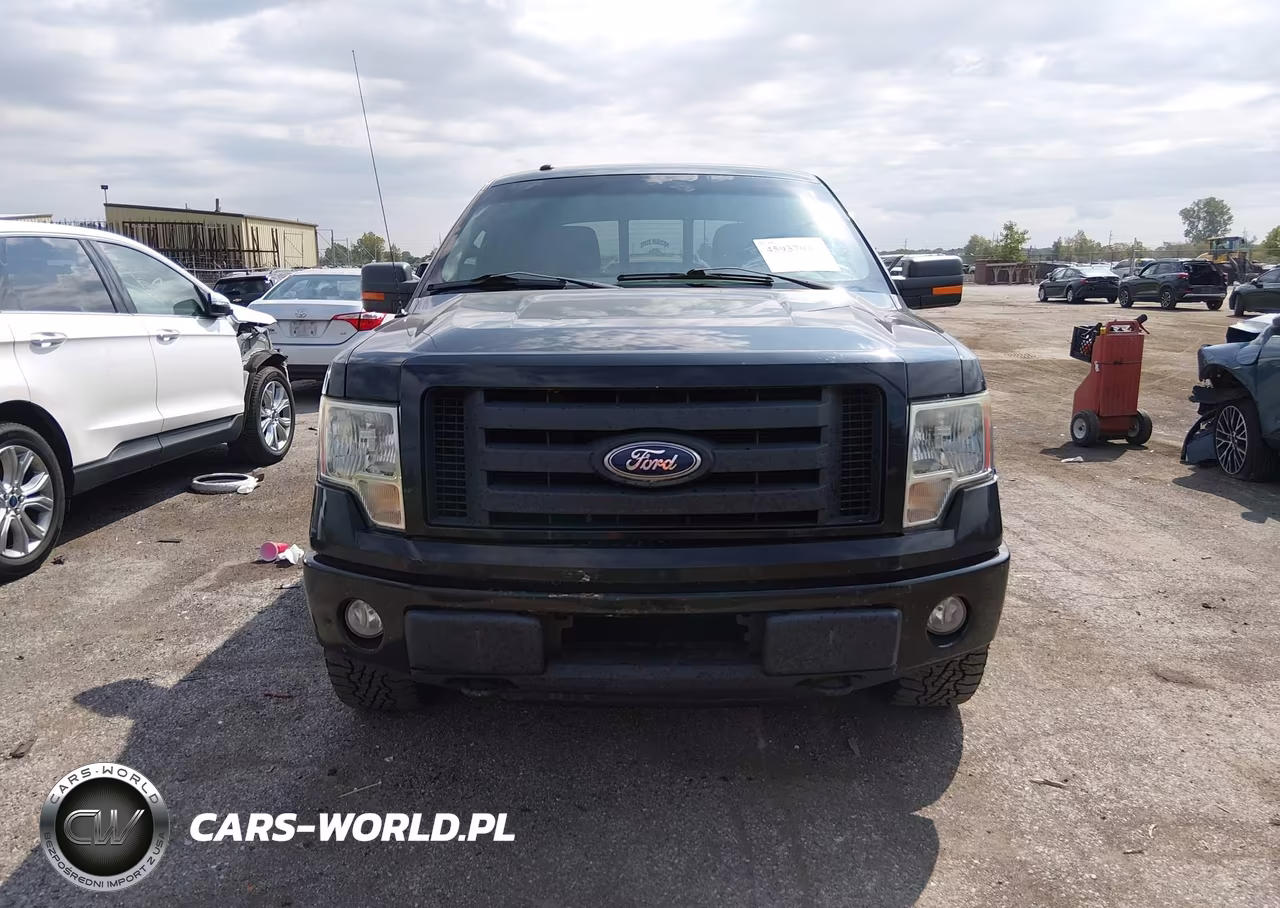 2010 Ford F-150 Fx4-Harley-Davidson-King Ranch-Lariat-Platinum-Xl-Xlt VIN:1FTFW1EV3AFC48230 - 12