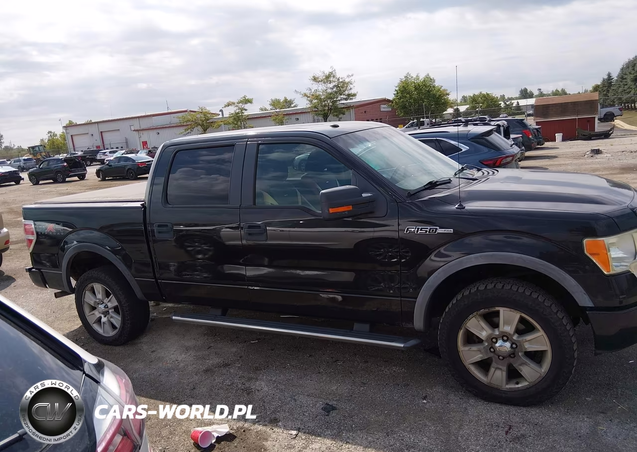 2010 Ford F-150 Fx4-Harley-Davidson-King Ranch-Lariat-Platinum-Xl-Xlt VIN:1FTFW1EV3AFC48230 - 13
