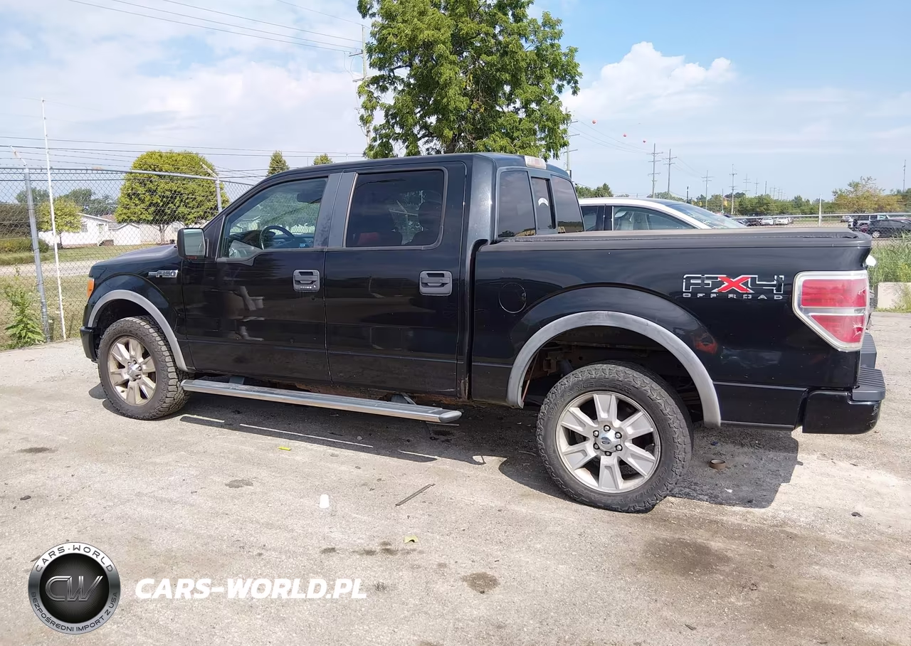 2010 Ford F-150 Fx4-Harley-Davidson-King Ranch-Lariat-Platinum-Xl-Xlt VIN:1FTFW1EV3AFC48230 - 14