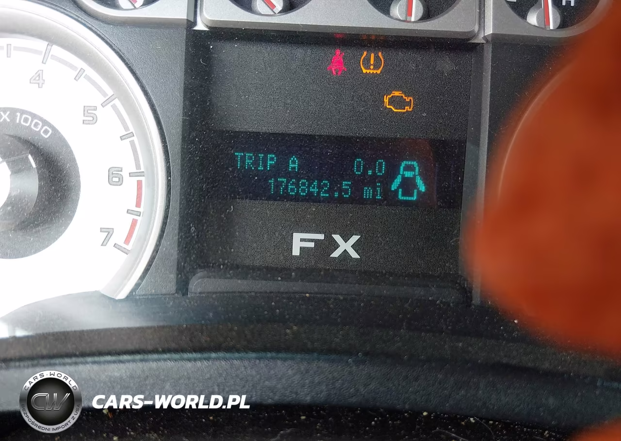 2010 Ford F-150 Fx4-Harley-Davidson-King Ranch-Lariat-Platinum-Xl-Xlt VIN:1FTFW1EV3AFC48230 - 15