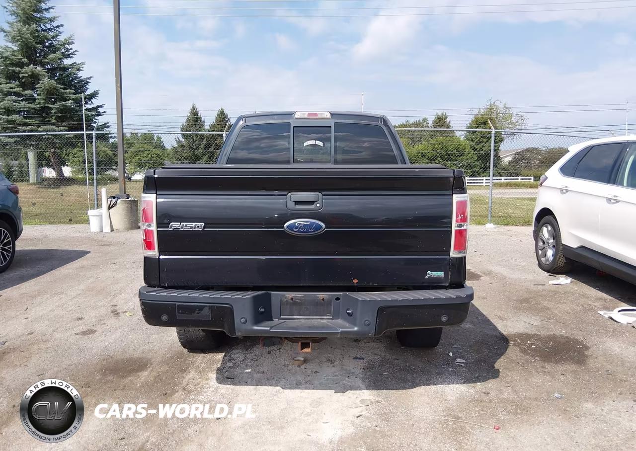 2010 Ford F-150 Fx4-Harley-Davidson-King Ranch-Lariat-Platinum-Xl-Xlt VIN:1FTFW1EV3AFC48230 - 16