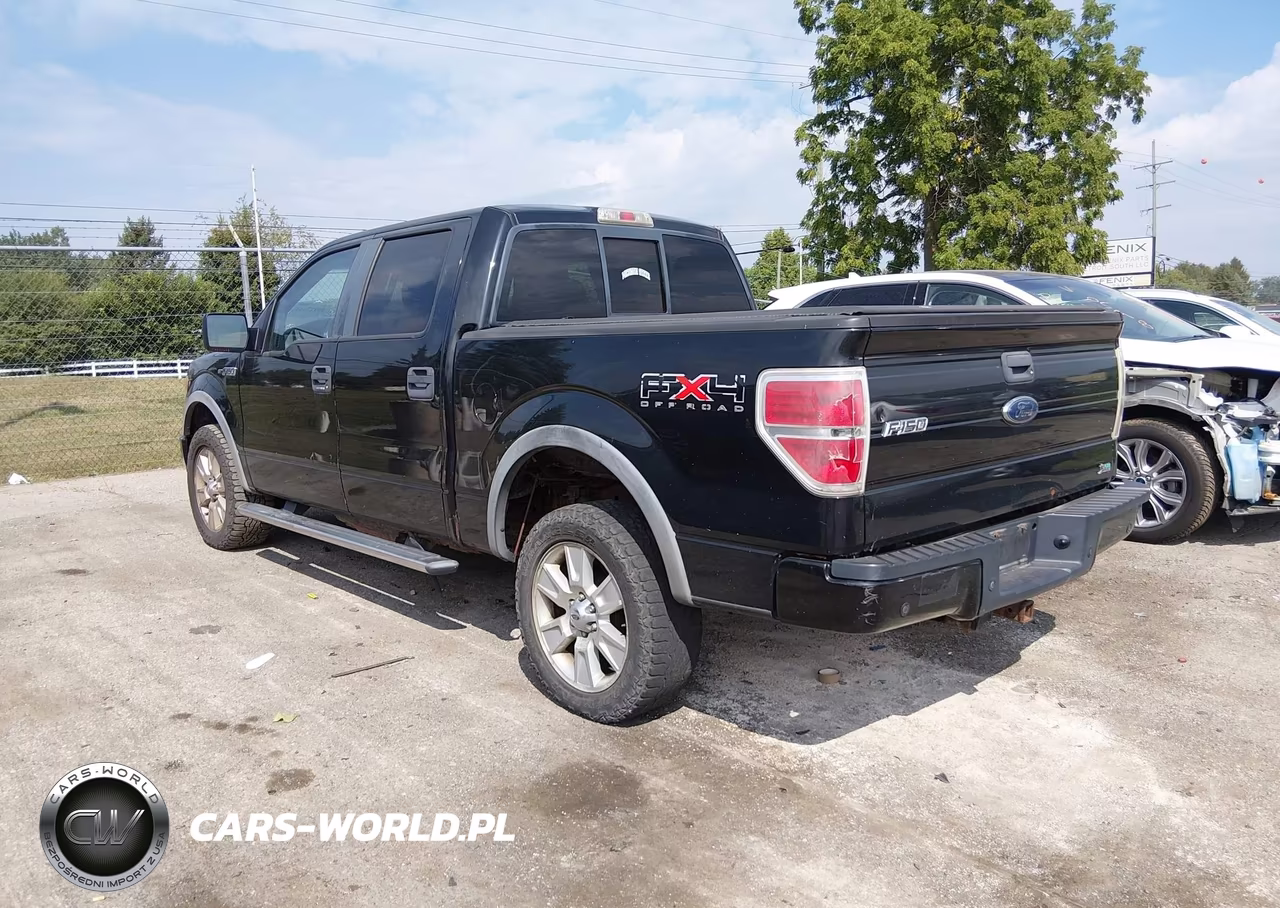 2010 Ford F-150 Fx4-Harley-Davidson-King Ranch-Lariat-Platinum-Xl-Xlt VIN:1FTFW1EV3AFC48230 - 3