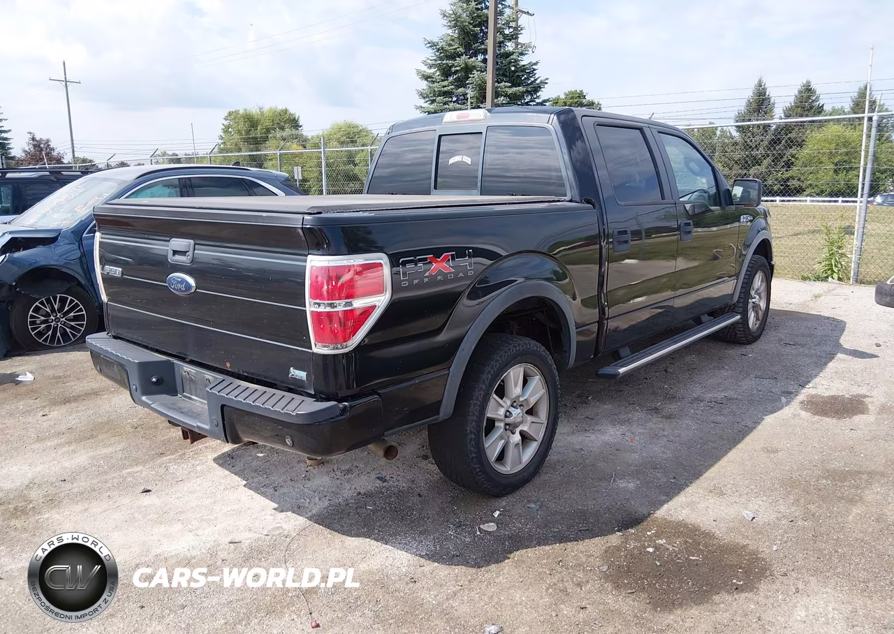 2010 Ford F-150 Fx4-Harley-Davidson-King Ranch-Lariat-Platinum-Xl-Xlt VIN:1FTFW1EV3AFC48230 - 4