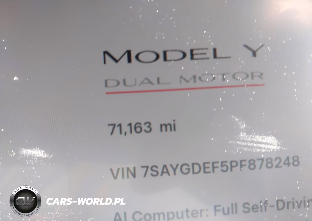 2023 Tesla Model Y Performance Dual Motor All-Wheel Drive VIN:7SAYGDEF5PF878248 - 16