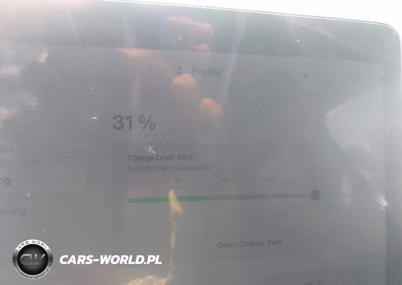 2023 Tesla Model Y Performance Dual Motor All-Wheel Drive VIN:7SAYGDEF5PF878248 - 18