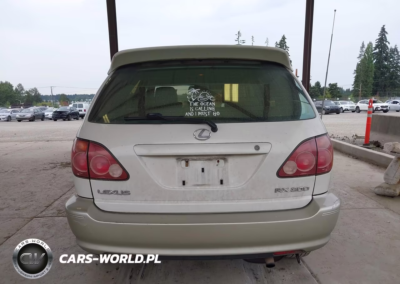 2000 Lexus Rx 300 VIN:JT6HF10U3Y0129718 - 16