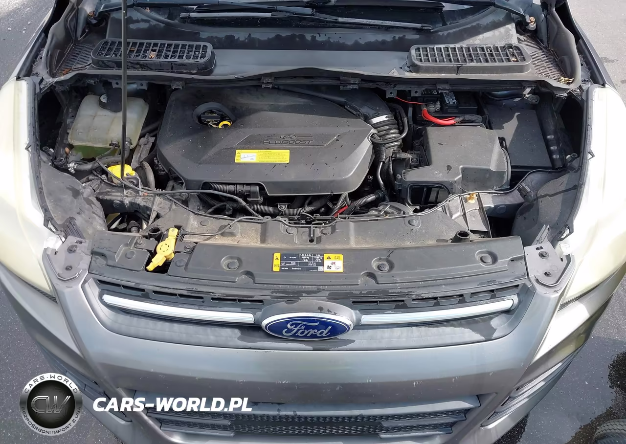 2013 Ford Escape Se VIN:1FMCU0GX6DUD15433 - 10