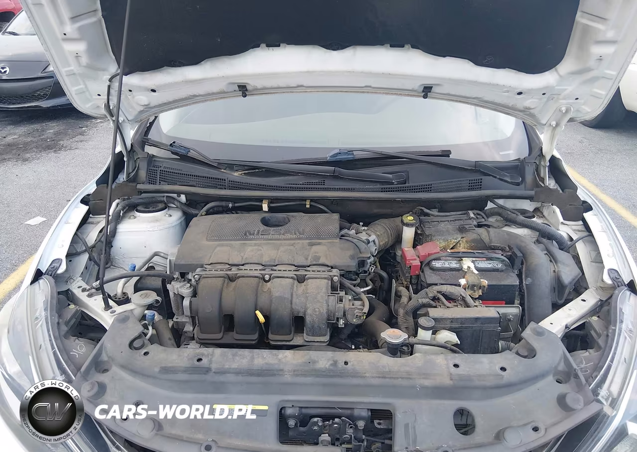 2016 Nissan Sentra Fe+ S-S-Sl-Sr-Sv VIN:3N1AB7AP8GY221903 - 10