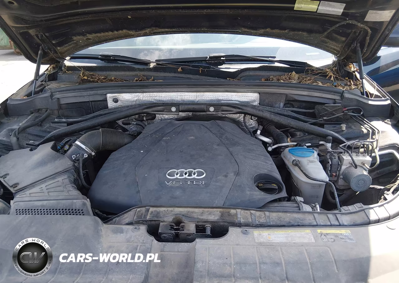 2014 Audi Q5 3.0 Tdi Premium Plus VIN:WA1CMAFP1EA121742 - 10