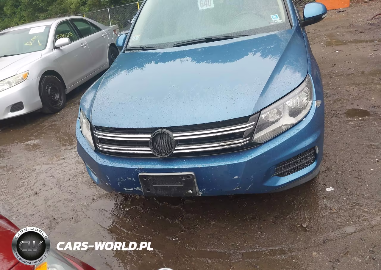 2017 Volkswagen Tiguan 2.0T Wolfsburg Edition VIN:WVGSV7AX0HW509217 - 12