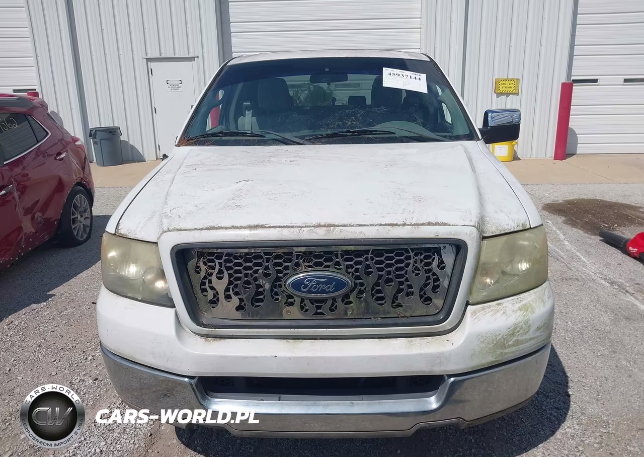 2004 Ford F-150 Stx-Xl-Xlt VIN:1FTRX12W84NB44673 - 12