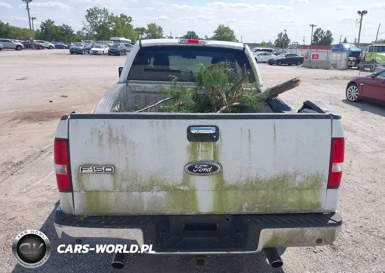 2004 Ford F-150 Stx-Xl-Xlt VIN:1FTRX12W84NB44673 - 16