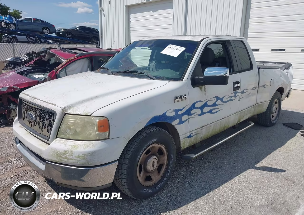 2004 Ford F-150 Stx-Xl-Xlt VIN:1FTRX12W84NB44673 - 2