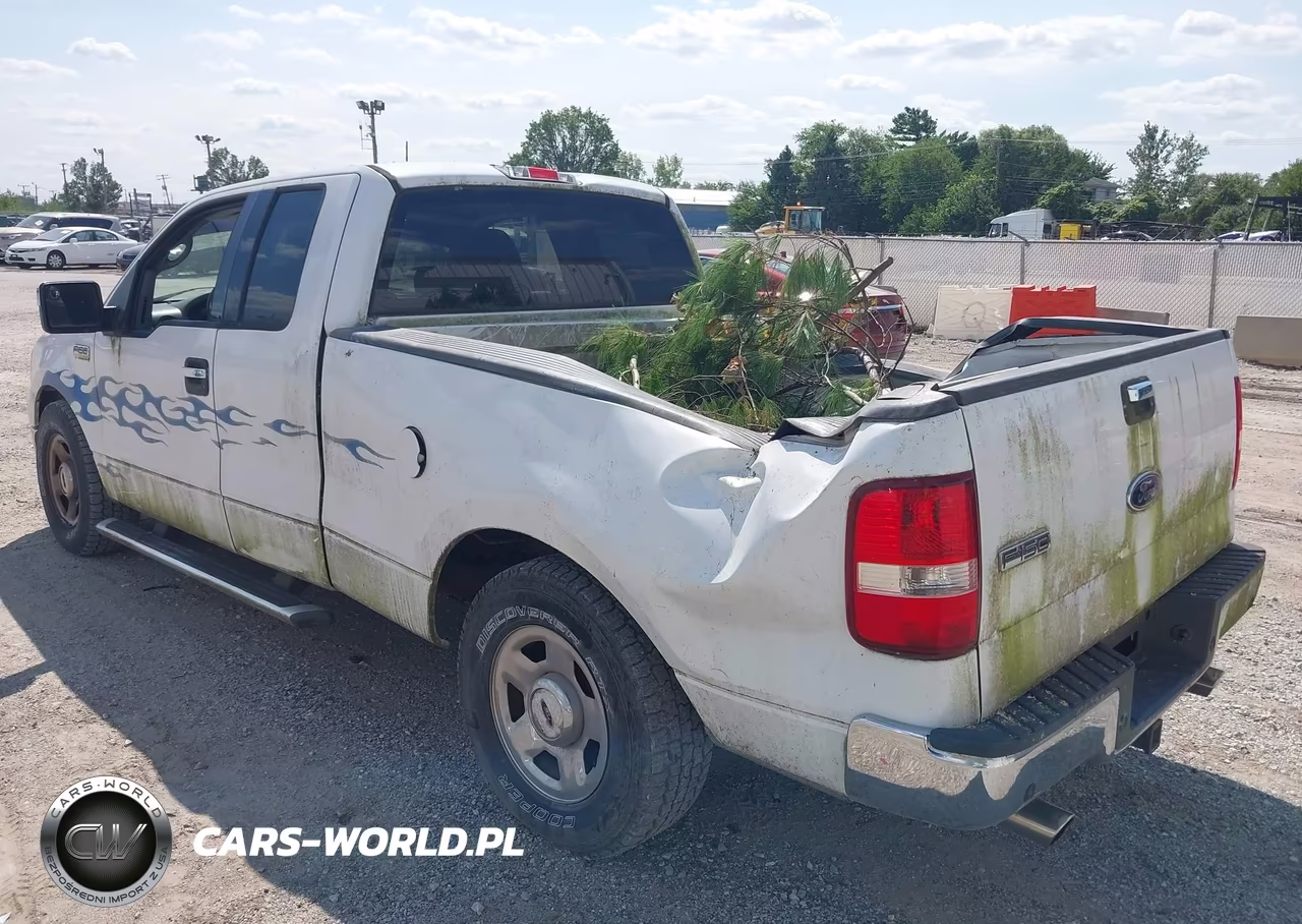 2004 Ford F-150 Stx-Xl-Xlt VIN:1FTRX12W84NB44673 - 3