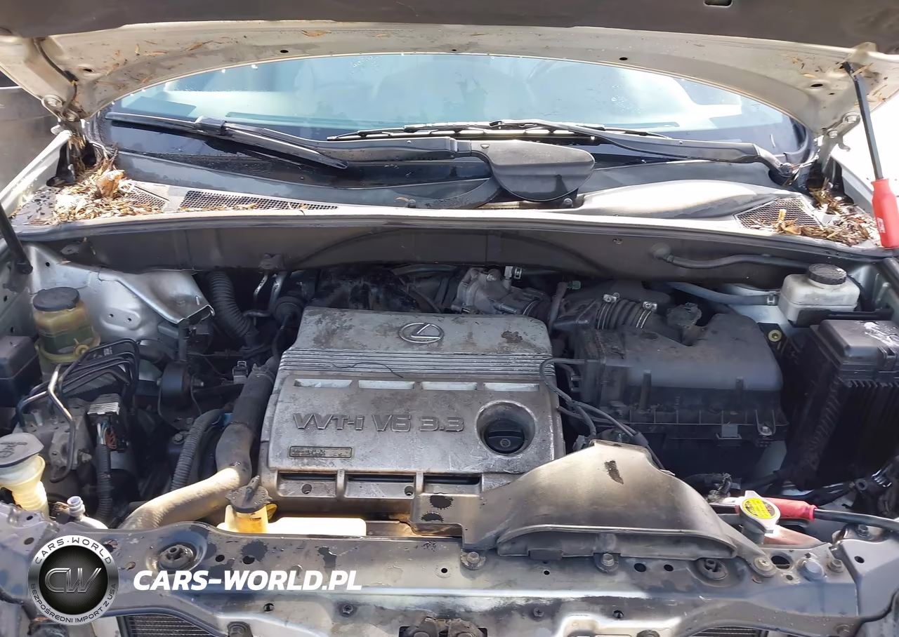 2005 Lexus Rx 330 VIN:2T2GA31U05C036116 - 10
