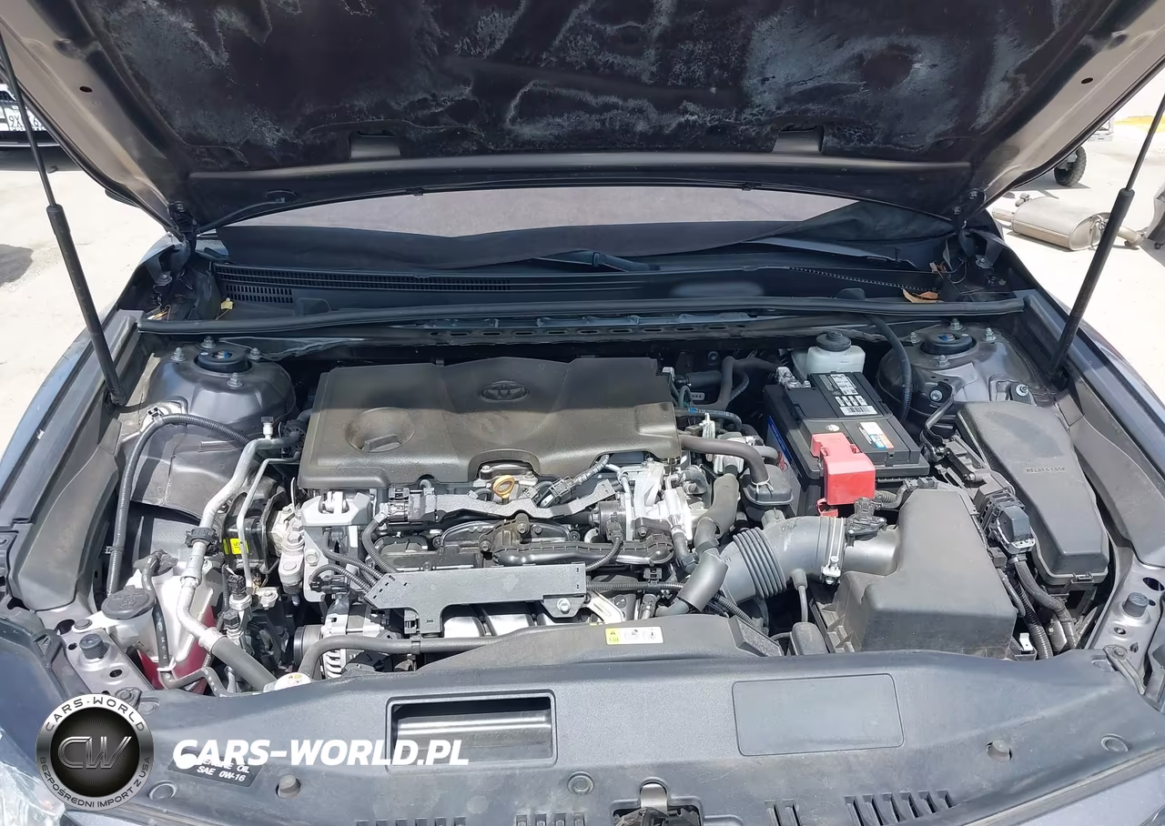 2019 Toyota Camry Le VIN:4T1B11HK1KU732971 - 10