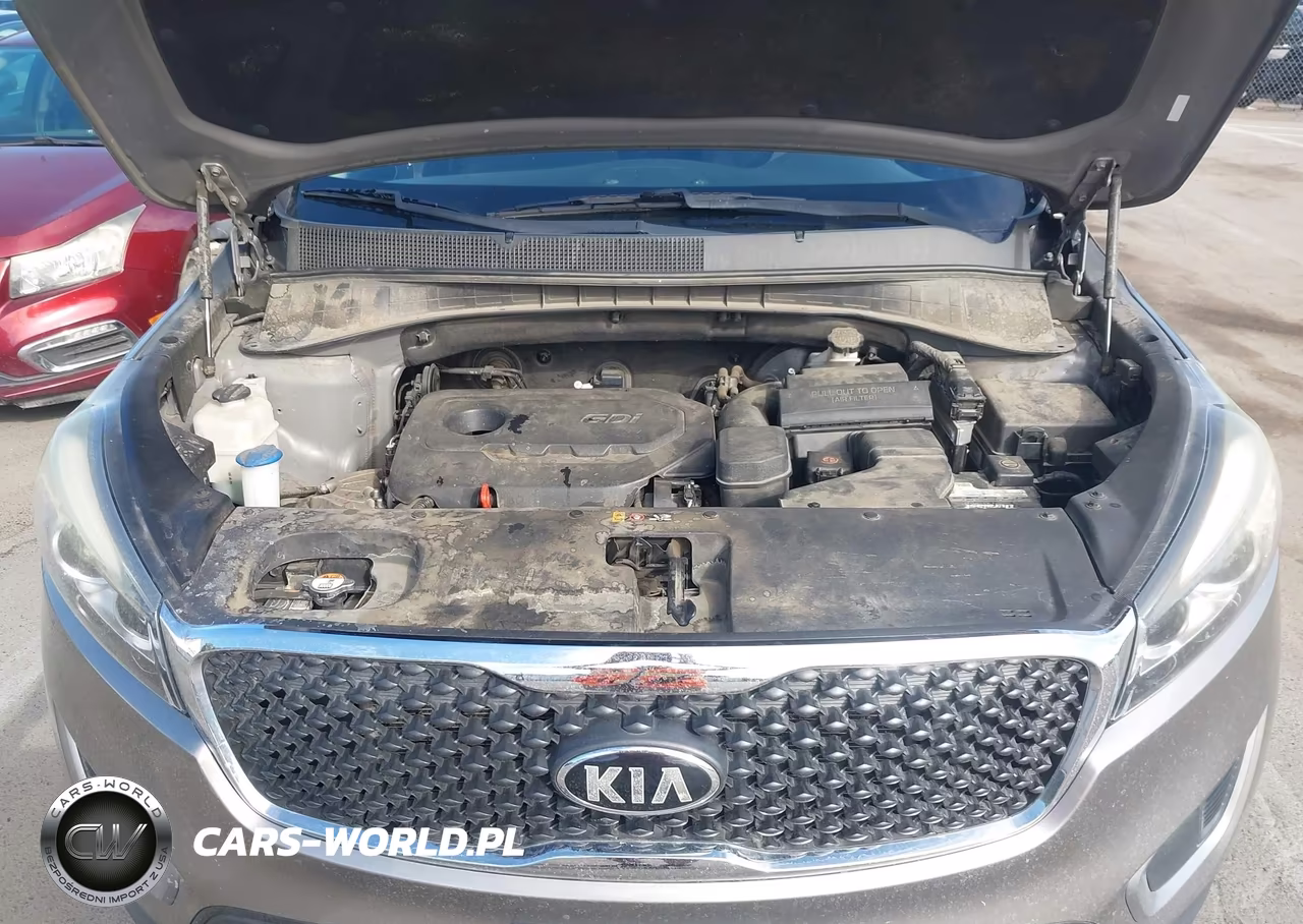 2017 Kia Sorento 2.4L L VIN:5XYPG4A31HG288370 - 10