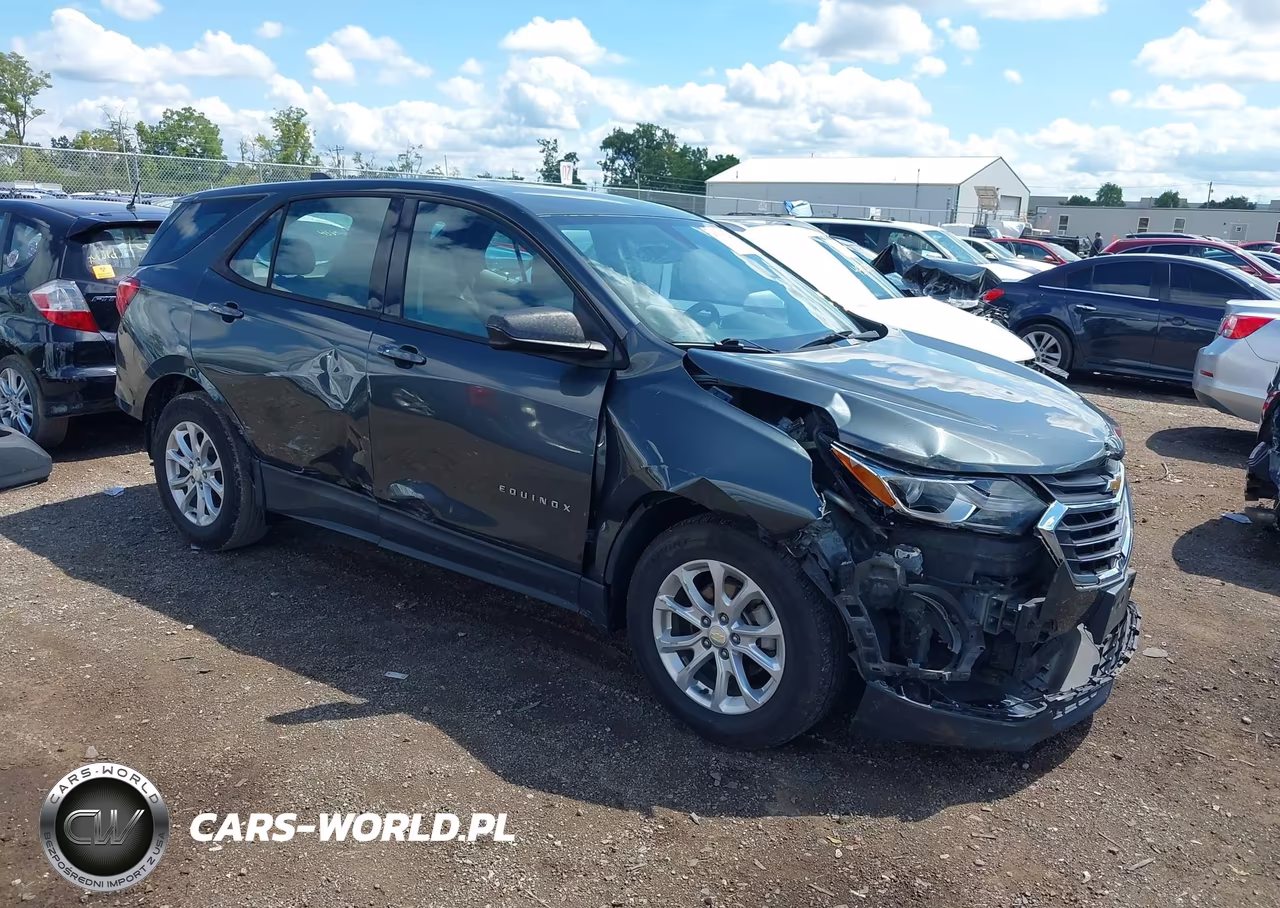 2018 Chevrolet Equinox Ls – zdjęcie 1 z 16