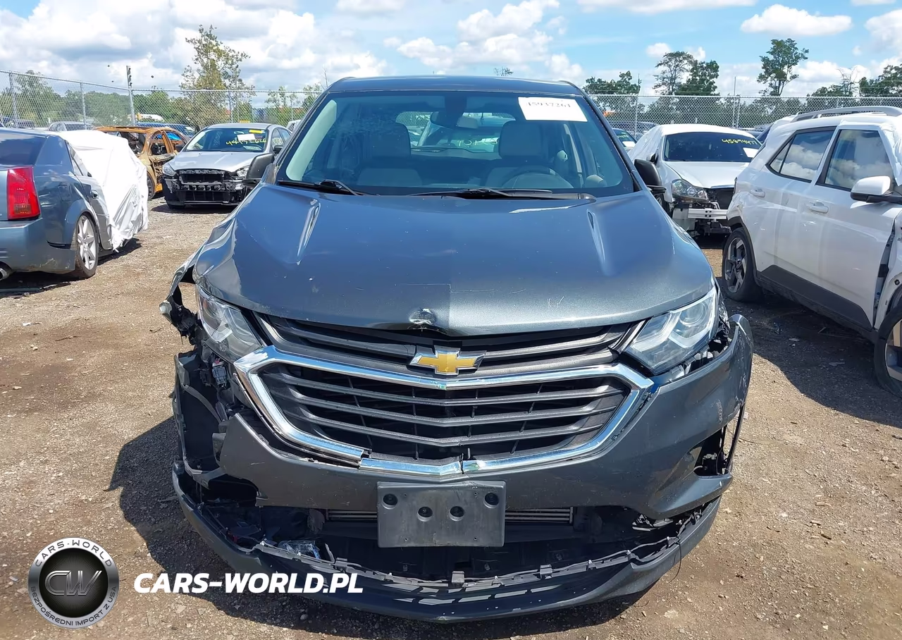 2018 Chevrolet Equinox Ls VIN:3GNAXHEV8JS635195 - 6