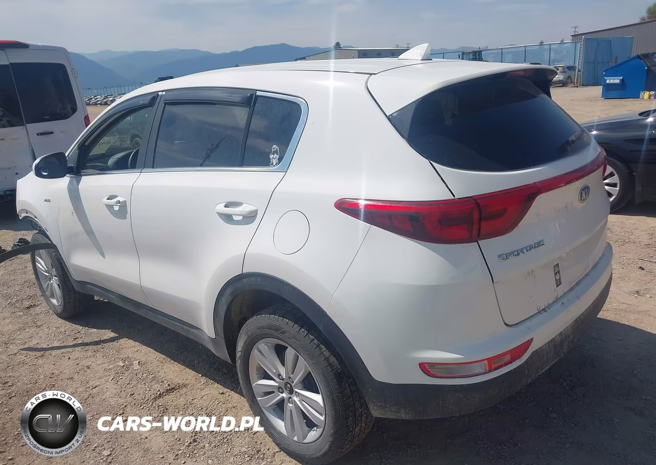 2019 Kia Sportage Lx VIN:KNDPMCAC1K7590118 - 3