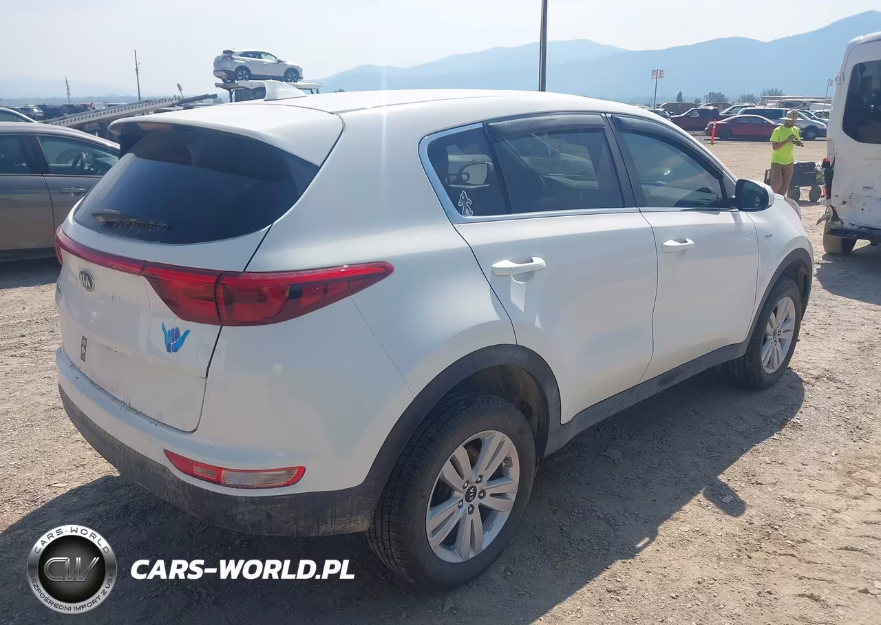 2019 Kia Sportage Lx VIN:KNDPMCAC1K7590118 - 4