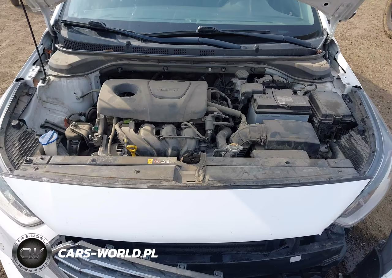 2019 Hyundai Accent Se VIN:3KPC24A39KE042409 - 10