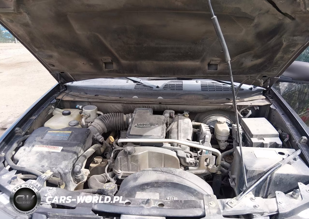 2007 Chevrolet Trailblazer Ls VIN:1GNDS13S872256102 - 10