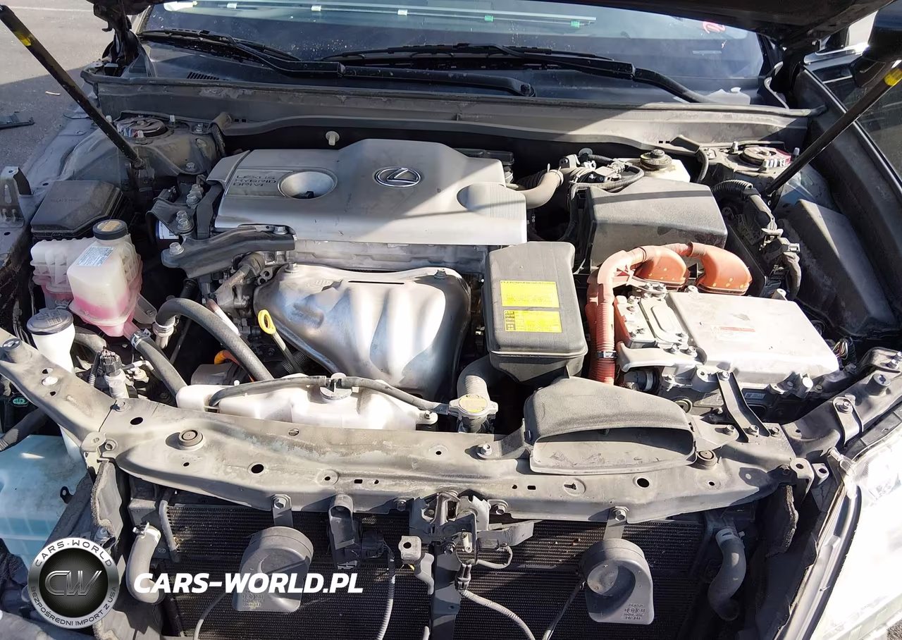 2013 Lexus Es 300H VIN:JTHBW1GG6D2003302 - 10