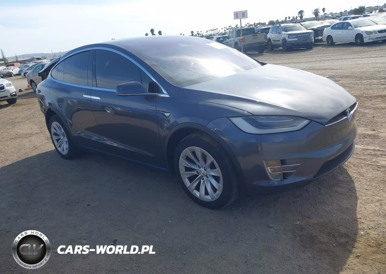 2019 Tesla Model X 100D-75D-Long Range